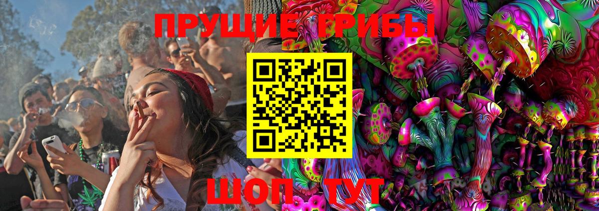 Галлюциногенные грибы Psilocybe  Вход с VPN  Белгород  Псилоцибиновые грибы мицелий 