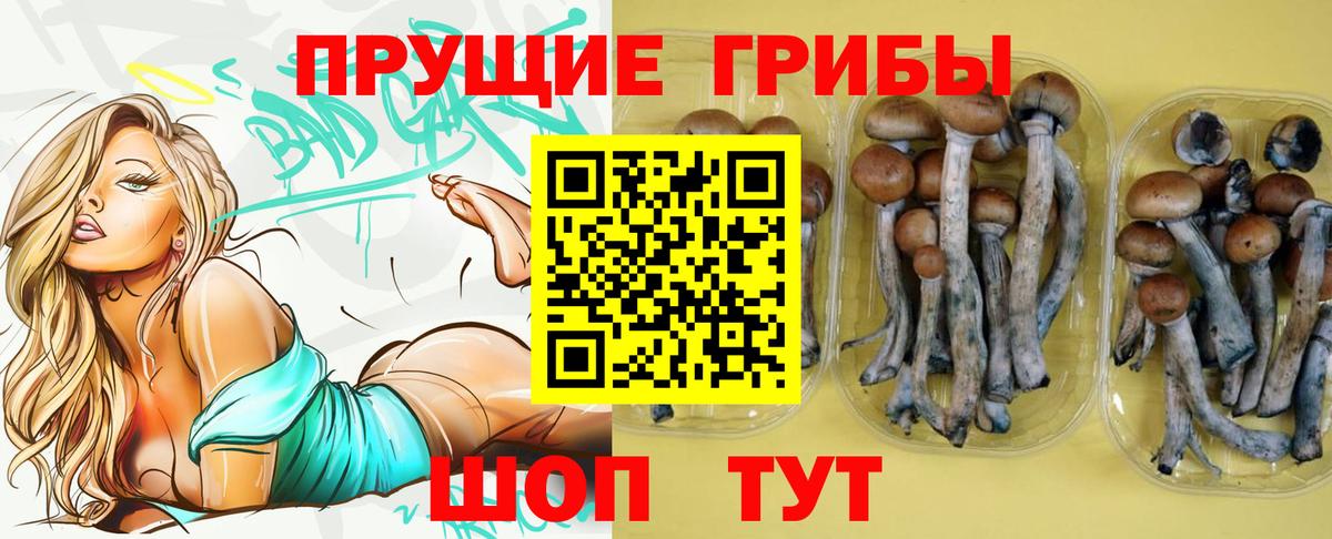 Псилоцибиновые грибы прущие грибы Белгород